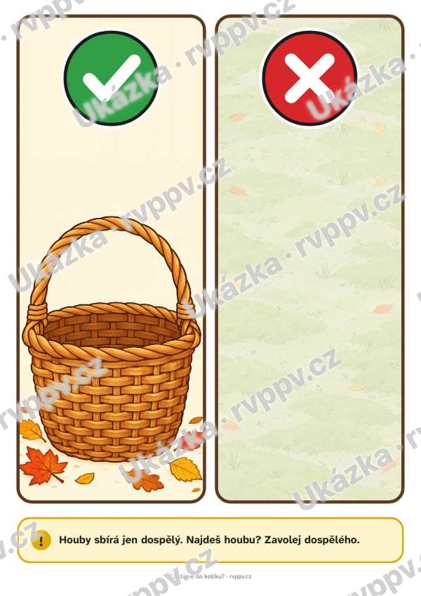 Co dáme do košíku?